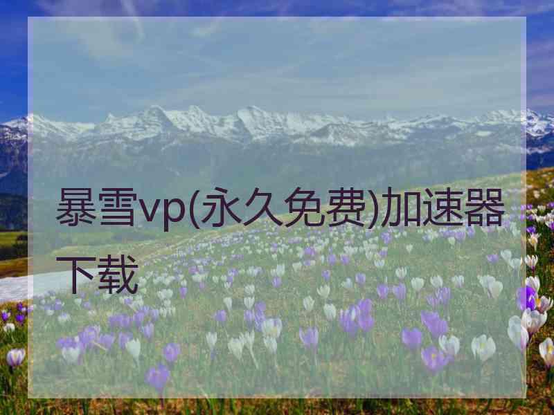 暴雪vp(永久免费)加速器下载