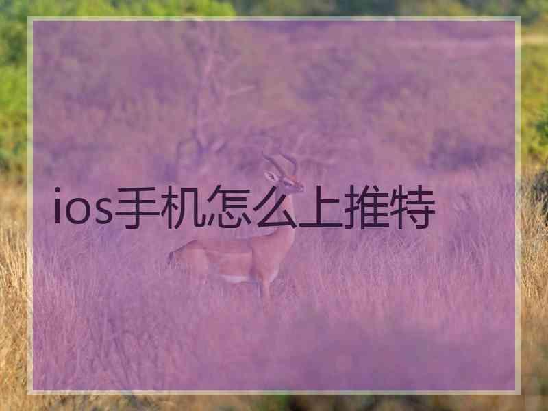 ios手机怎么上推特