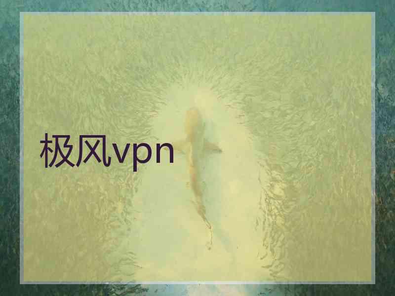 极风vpn