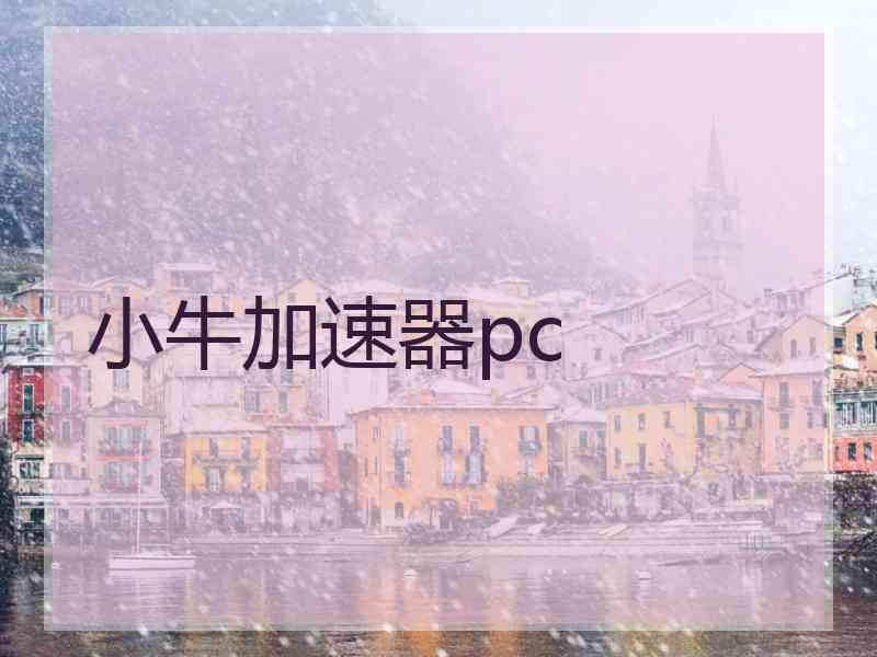 小牛加速器pc