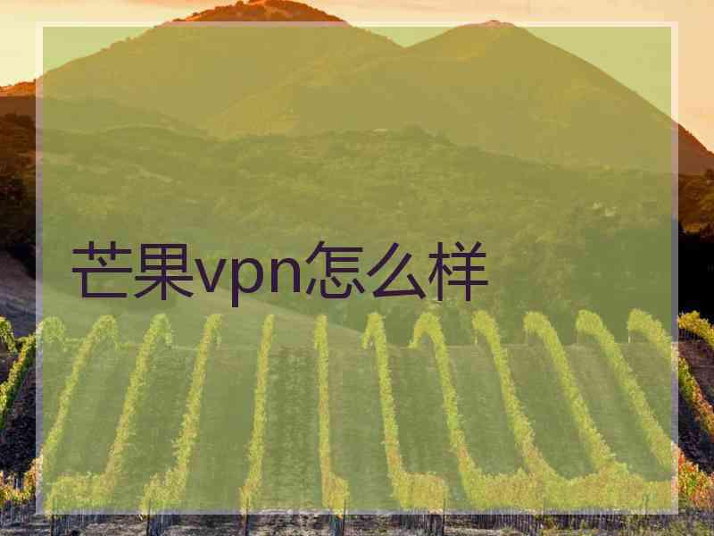 芒果vpn怎么样