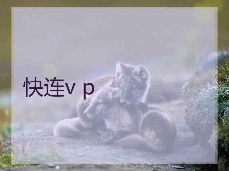 快连v p