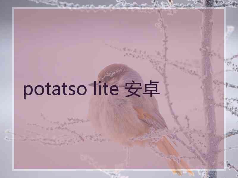 potatso lite 安卓