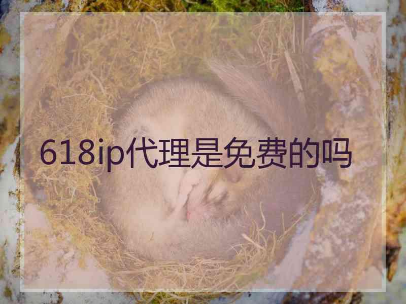 618ip代理是免费的吗