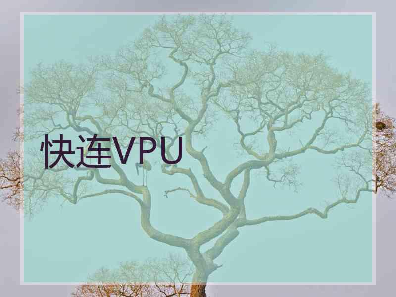 快连VPU