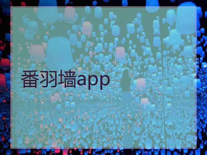 番羽墙app