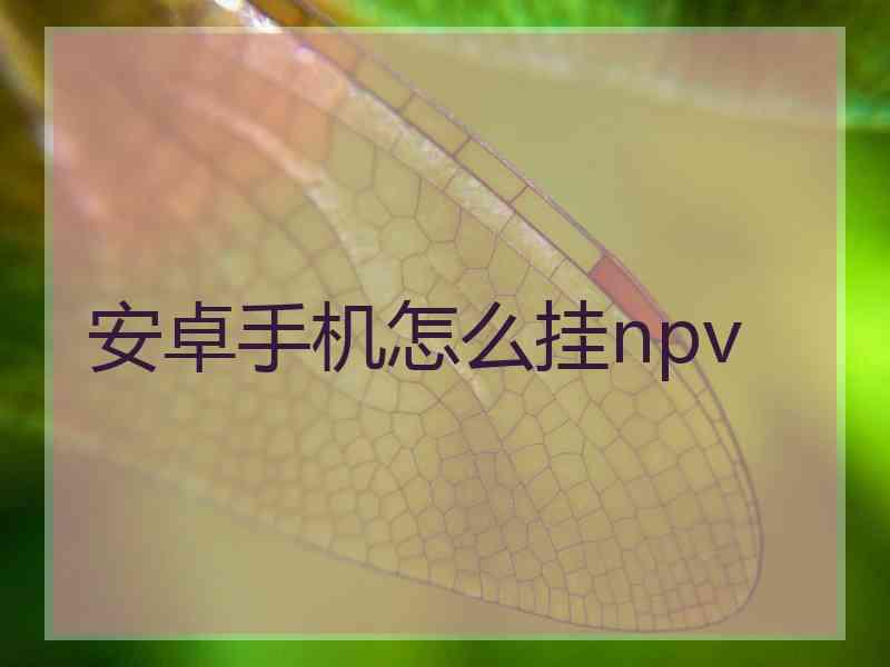 安卓手机怎么挂npv