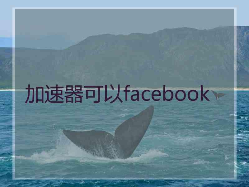 加速器可以facebook