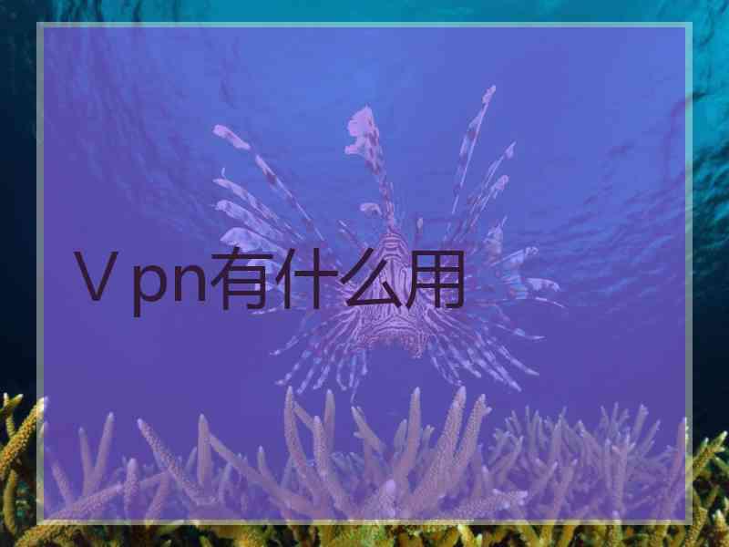 Ⅴpn有什么用