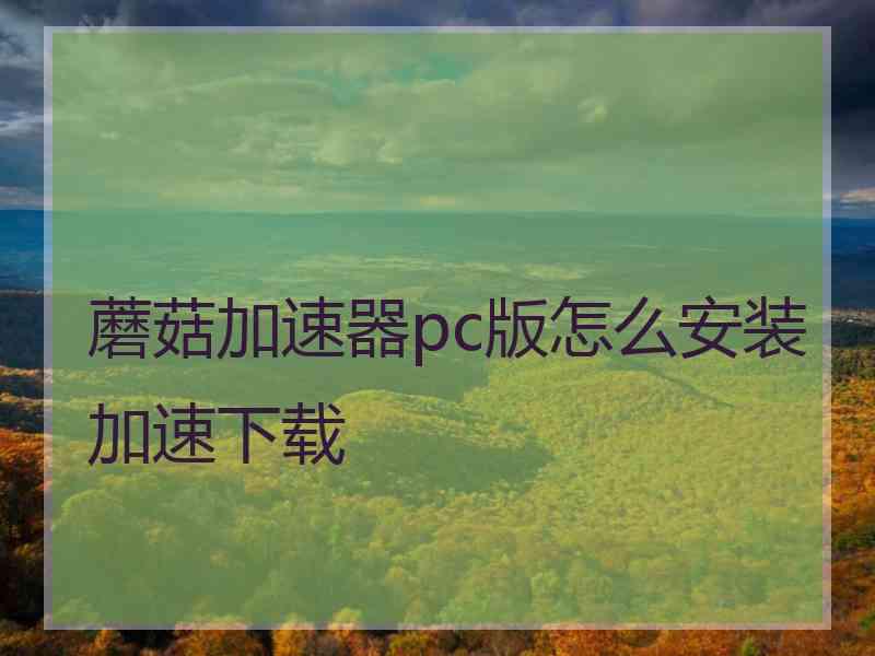 蘑菇加速器pc版怎么安装加速下载