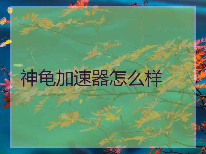 神龟加速器怎么样