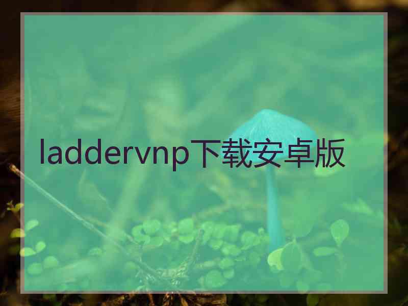 laddervnp下载安卓版