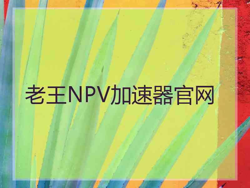 老王NPV加速器官网