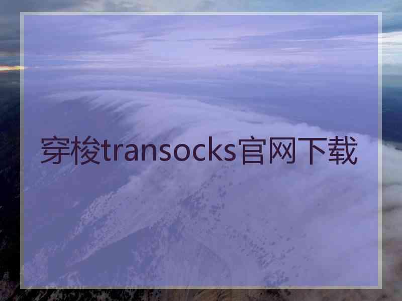 穿梭transocks官网下载