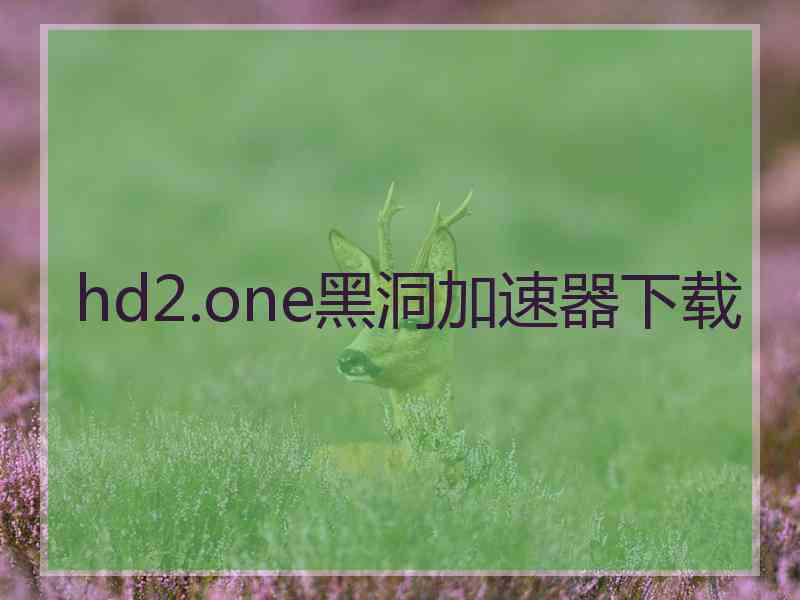 hd2.one黑洞加速器下载