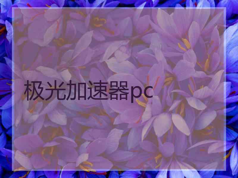 极光加速器pc