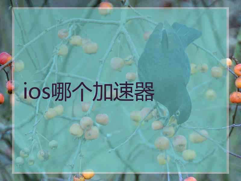 ios哪个加速器