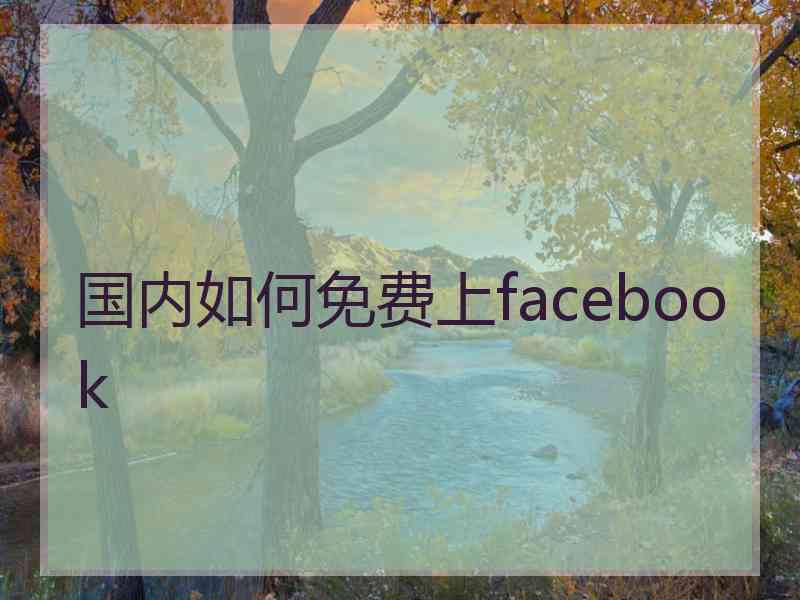 国内如何免费上facebook