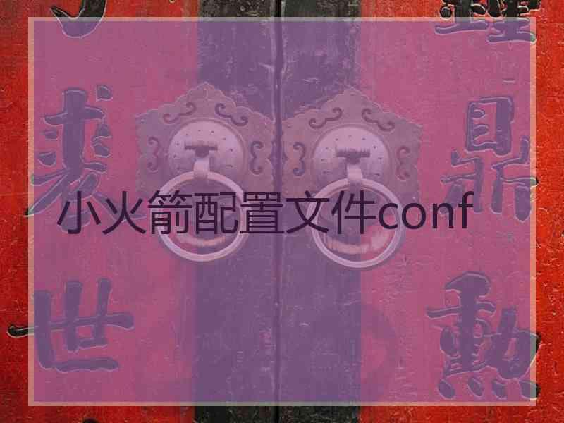 小火箭配置文件conf