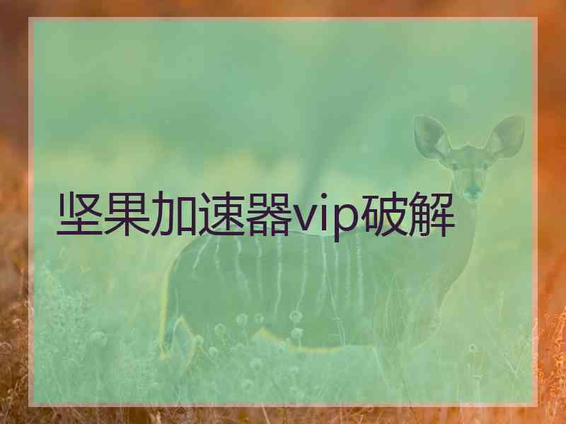 坚果加速器vip破解