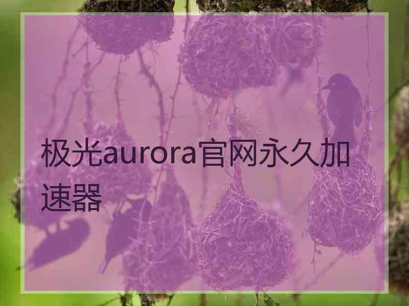 极光aurora官网永久加速器