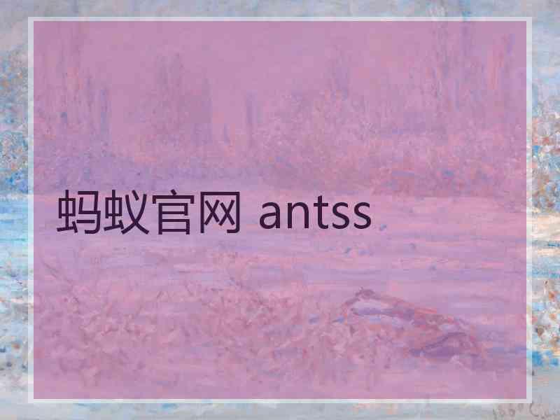 蚂蚁官网 antss