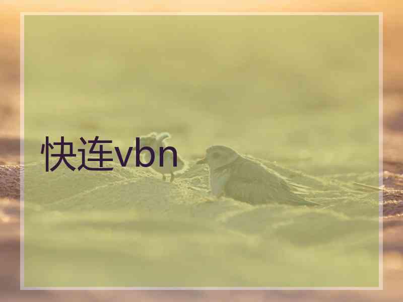 快连vbn