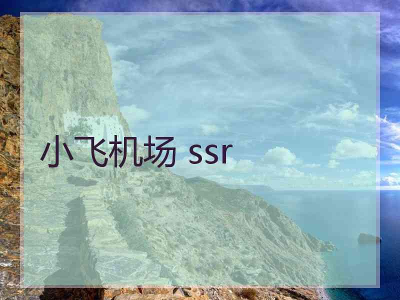 小飞机场 ssr