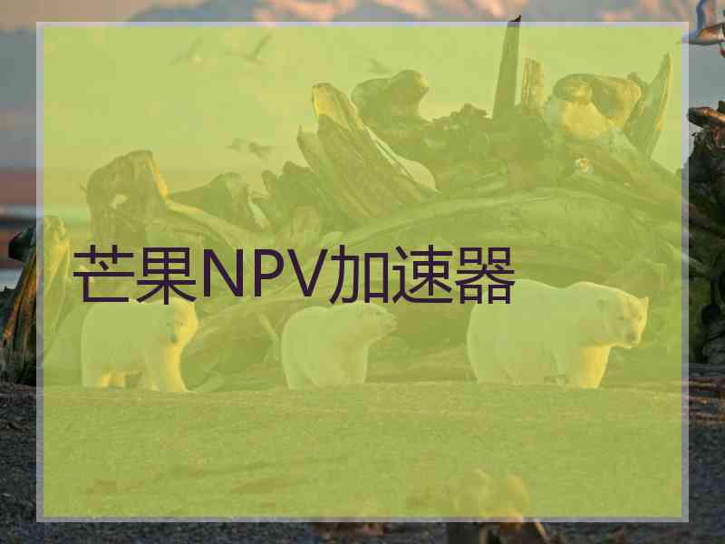 芒果NPV加速器