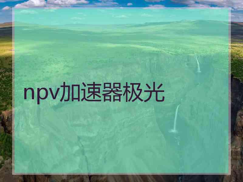 npv加速器极光