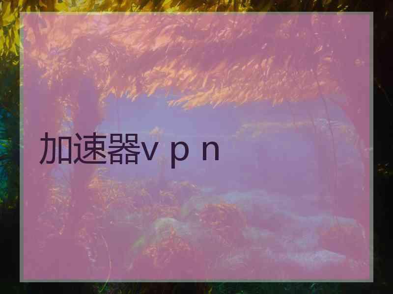 加速器v p n