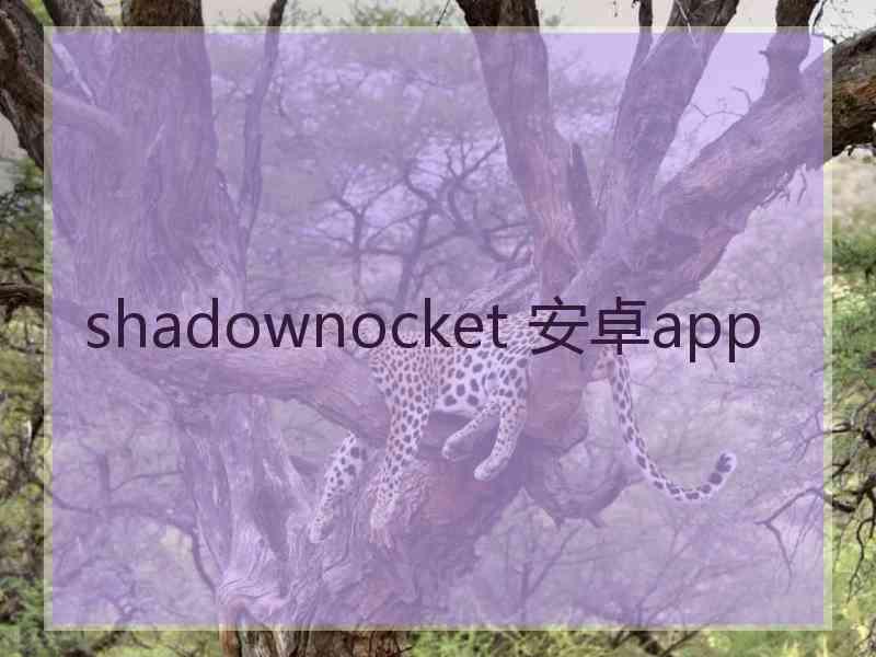 shadownocket 安卓app