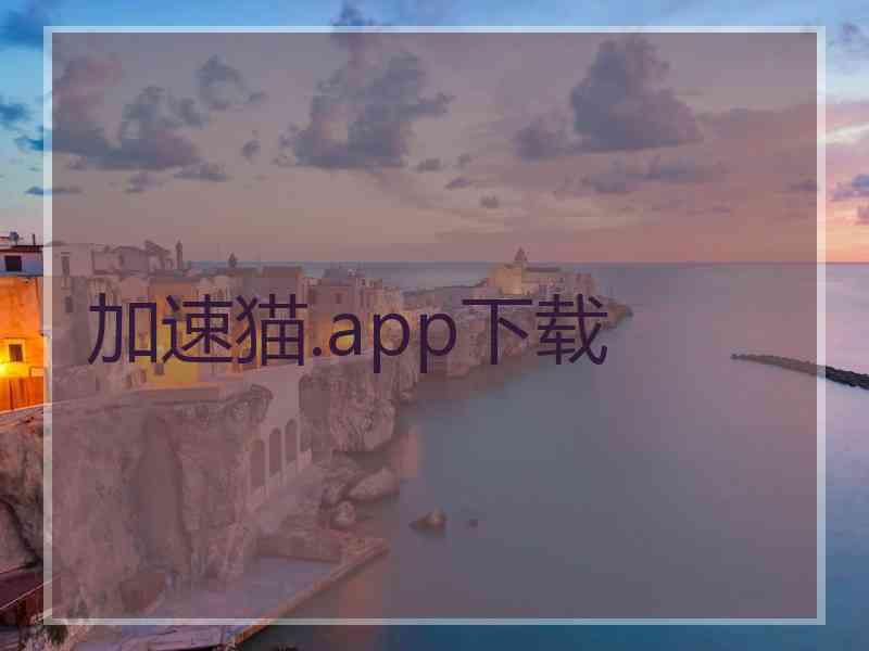 加速猫.app下载