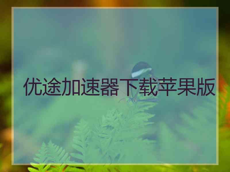 优途加速器下载苹果版