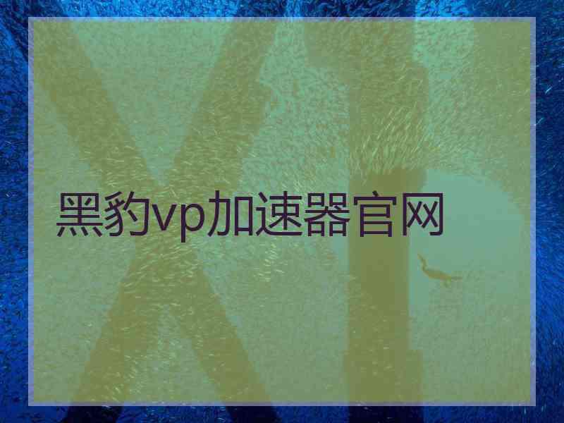 黑豹vp加速器官网