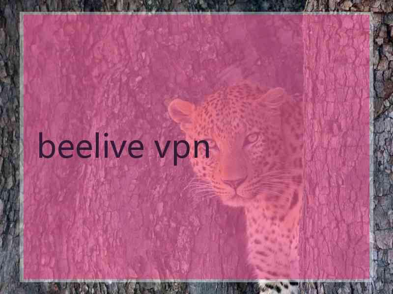 beelive vpn