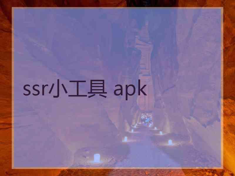 ssr小工具 apk