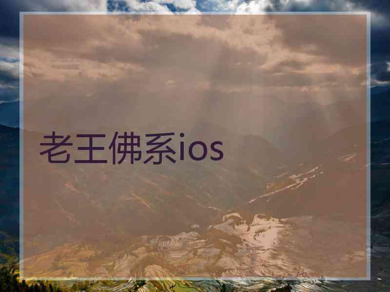 老王佛系ios