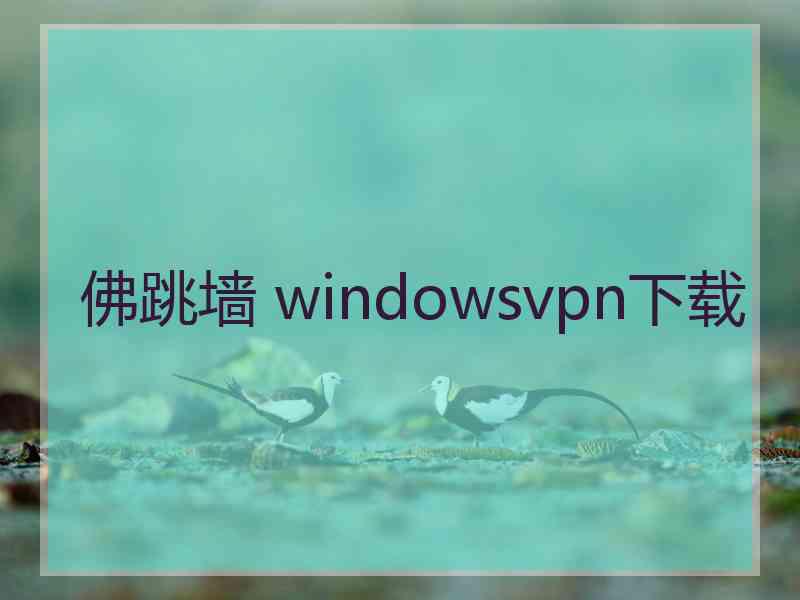 佛跳墙 windowsvpn下载