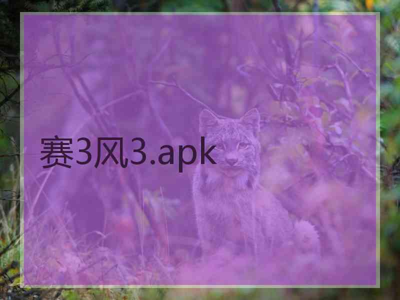 赛3风3.apk