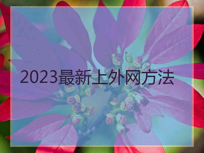 2023最新上外网方法