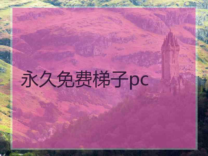 永久免费梯子pc