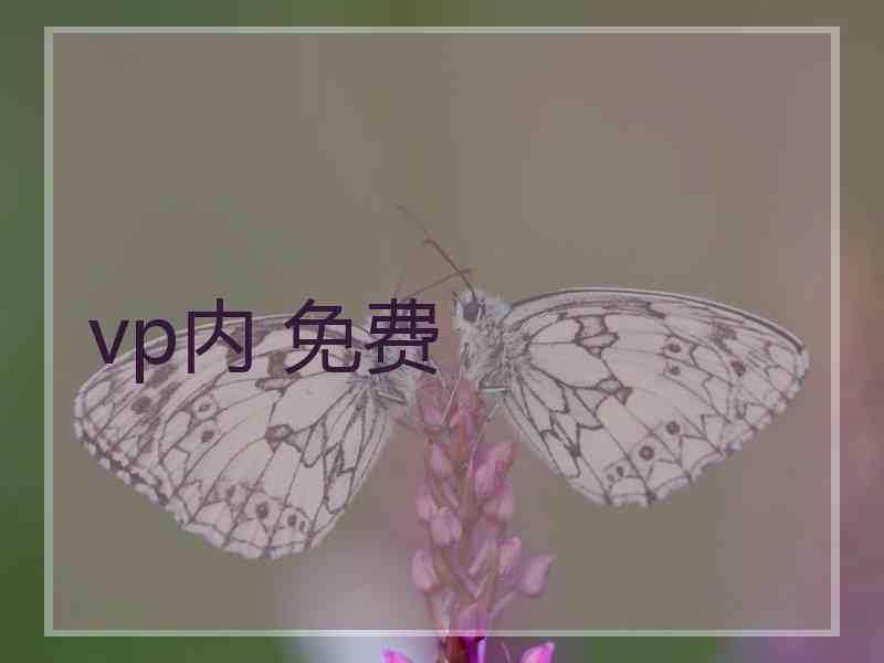 vp内 免费