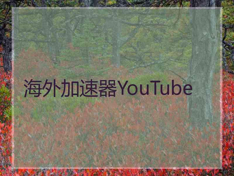 海外加速器YouTube