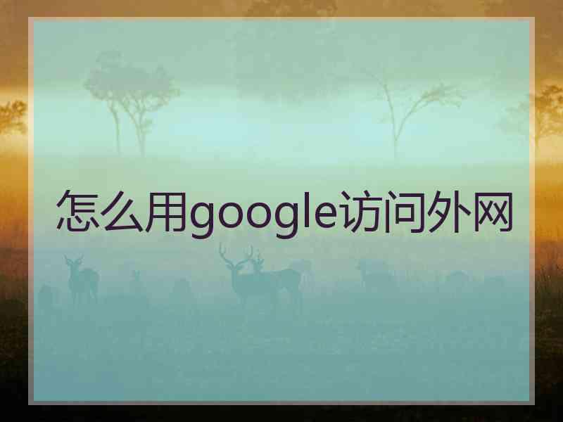 怎么用google访问外网