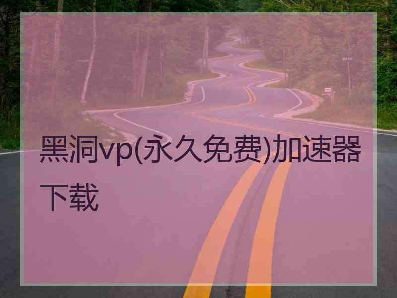 黑洞vp(永久免费)加速器下载