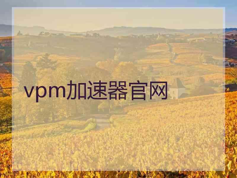 vpm加速器官网