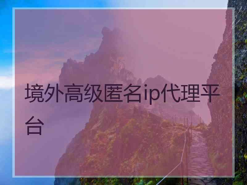 境外高级匿名ip代理平台