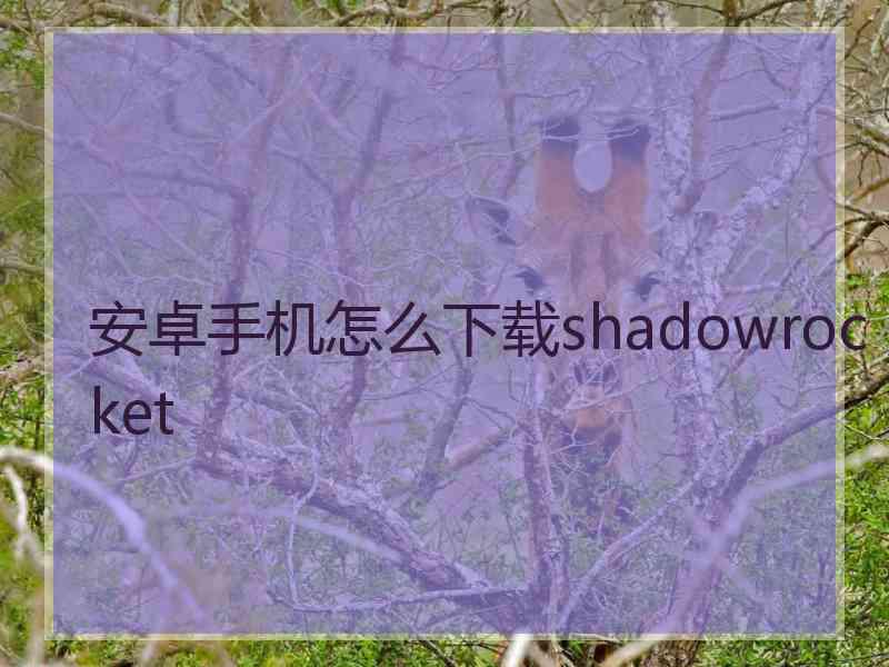 安卓手机怎么下载shadowrocket