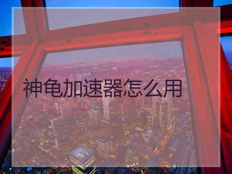 神龟加速器怎么用